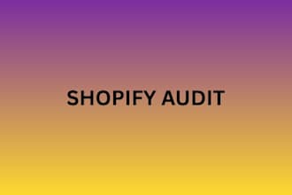 do shopify store audit for your store