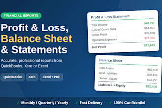 make profit and loss, balance sheeet, and financial statement
