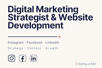 manage your instagram facebook and linkedin to grow your brand
