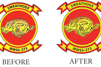 vectorize logo image and convert to high quality vector