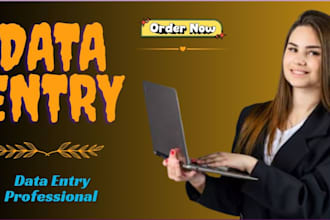 do enter data on excel professionally