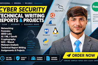 do cyber security projects and technical writing