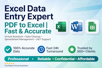 do accurate excel data entry and virtual assistance