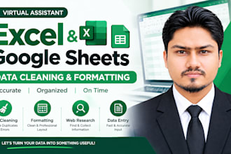 do microsoft excel, google sheets, data cleaning and formatting