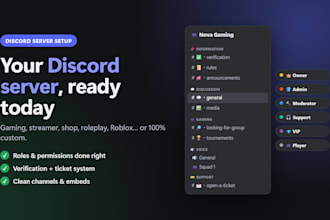 set up a professional discord server for your community