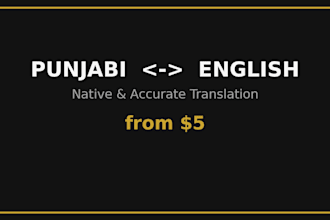 translate english to punjabi and punjabi to english accurately