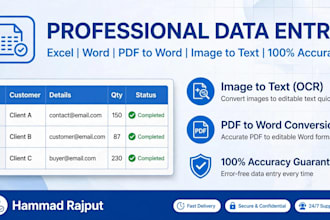 do accurate data entry, typing and excel work in 24 hours