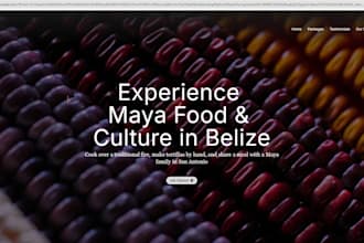 provide front end support and build custom landing pages