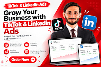 set up high ROI linkedin ads and tiktok ads campaigns