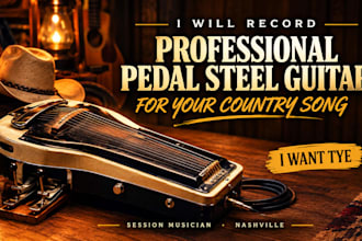 record professional pedal steel guitar for your country song