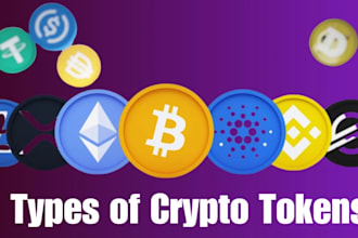 help you set up bitcoin wallet and learn crypto step by step