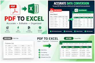 convert pdf to excel with accurate data entry