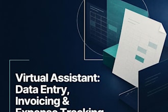 be your virtual assistant for data entry and invoicing