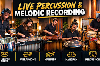 record professional steelpan, vibraphone, marimba, handpan and percussion