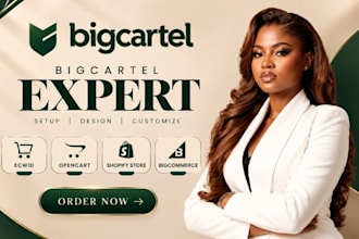 setup, redesign big cartel, fix big cartel, ecwid, big commerce opencart shopify