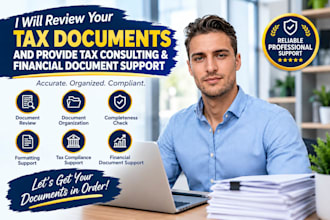review your tax document and provide tax consulting, financial document support
