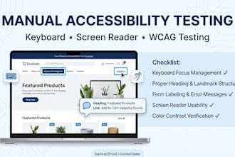 perform a professional wcag website accessibility audit