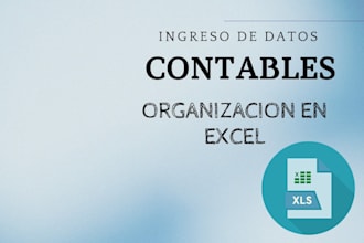 datos contables y ordenaré tus facturas en excel
