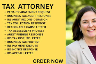 be your nc, ny, ca, florida tax lawyer for business tax disputes and irs audits