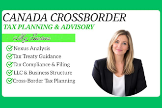 provide US canada cross border tax planning and business advisory