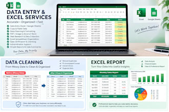 accurate data entry and excel work
