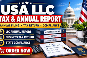 file your USA llc annual report and tax return