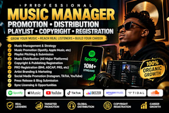 do music manager, music distribution, music promotion, artist manager