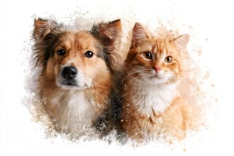 do watercolor pet portrait, dog portrait cat portrait
