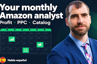 be your monthly amazon analyst for profit, PPC and catalog health