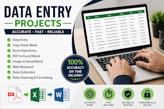 do professional data entry, excel, web research