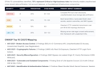 perform web application penetration testing and owasp security audit