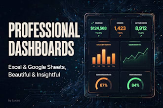 build a professional excel or google sheets dashboard