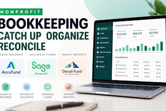 catch up organize and reconcile accufund sage denali fund nonprofit bookkeeping