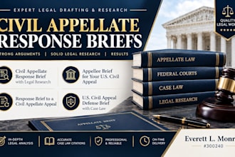 draft a comprehensive appellee brief for a complex US civil appeal case