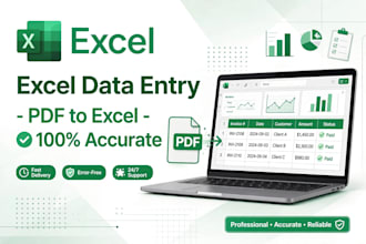 do accurate excel data entry, pdf to excel, typing and copy paste work