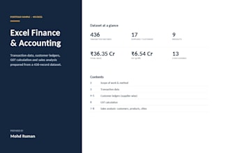 clean excel data, prepare ledger and pivots reports