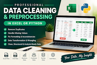 do professional data cleaning and preprocessing in excel or python