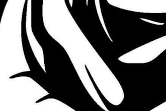 make custom ambigram tattoo design in illustrator