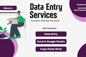 do data entry copy paste and web search work