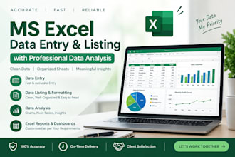 do professional ms excel data entry data analysis