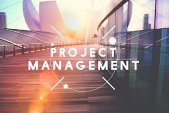 be your project manager