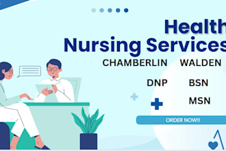 do capella, walden, chamberlain, bsn, msn and dnp nursing