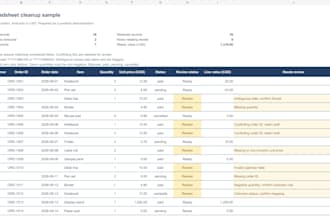 clean one CSV and flag data issues