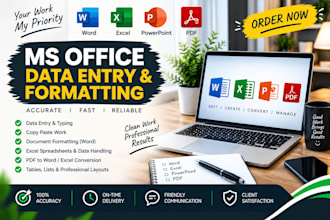do professional ms word excel data entry and formatting