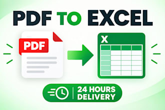 convert your PDF to excel file within 24 hours