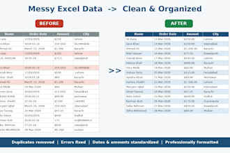 clean, organize and format your messy excel data