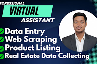 be your virtual assistant for admin support and daily tasks