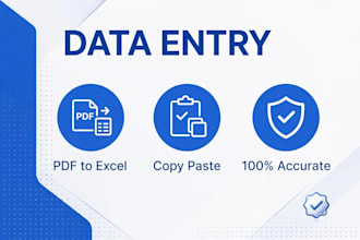 do fast data entry, excel data entry, copy paste,and typing