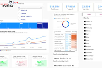 create professional data analysis dashboard