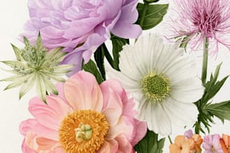 do a botanical watercolor illustration, floral drawing